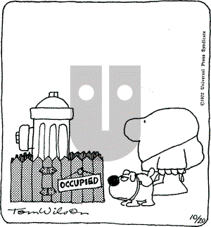 Ziggy on Friday October 20, 1972 Comic Strip