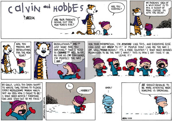 Calvin and Hobbes on Sunday December 31, 1989 Comic Strip
