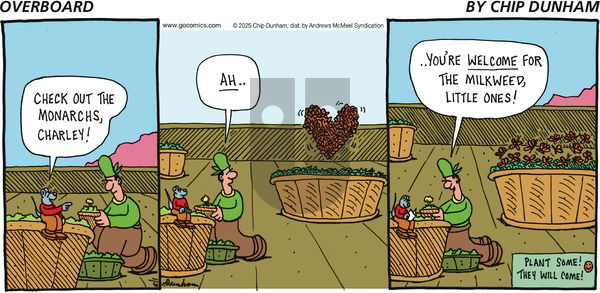 Overboard on Sunday June 1, 2025 Comic Strip