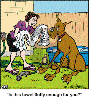 Marmaduke on Tuesday June 3, 2014 Comic Strip