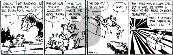 Calvin and Hobbes - Tuesday June 30, 2020 Comic Strip