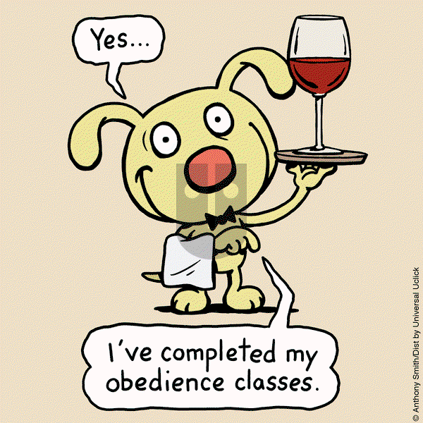 Cattitude — Doggonit on Wednesday January 29, 2025 Comic Strip