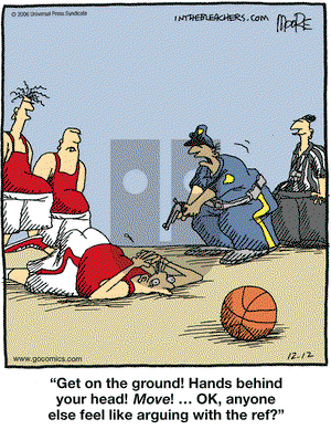 In the Bleachers on Tuesday December 12, 2006 Comic Strip