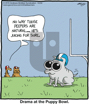 In the Bleachers on Wednesday October 30, 2019 Comic Strip
