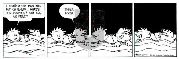 Calvin and Hobbes on Friday November 10, 1989 Comic Strip