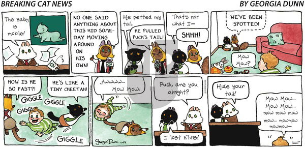 Breaking Cat News on Sunday January 14, 2018 Comic Strip