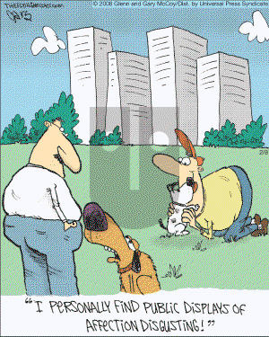 The Flying McCoys on Friday February 8, 2008 Comic Strip