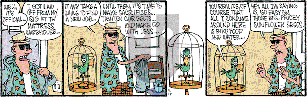 Monty on Monday November 17, 2008 Comic Strip