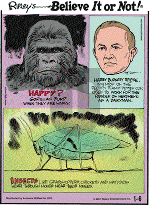 Ripley's Believe It or Not on Wednesday January 6, 2021 Comic Strip