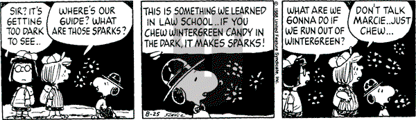 Peanuts - Thursday August 25, 1988 Comic Strip