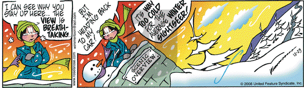 Rose is Rose on Monday December 29, 2008 Comic Strip