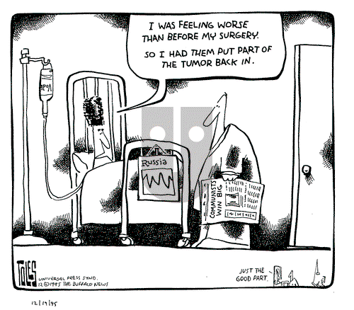 Tom Toles on Tuesday December 19, 1995 Comic Strip