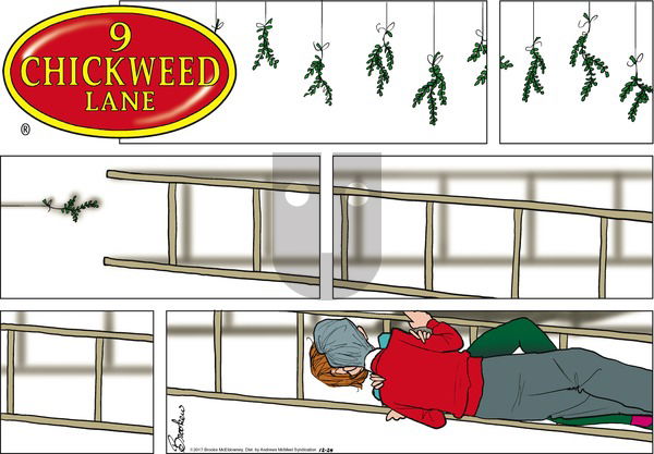 9 Chickweed Lane on Sunday December 24, 2017 Comic Strip