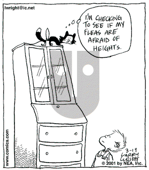 Kit 'N' Carlyle on Monday March 19, 2001 Comic Strip