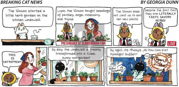Breaking Cat News on Sunday May 31, 2020 Comic Strip