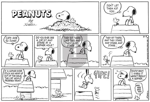 Peanuts on Sunday August 9, 1987 Comic Strip