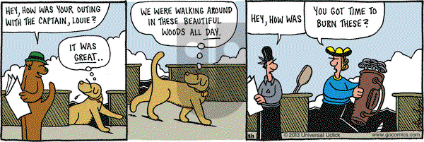 Overboard on Saturday August 3, 2013 Comic Strip