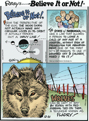 Ripley's Believe It or Not on Wednesday December 31, 2008 Comic Strip