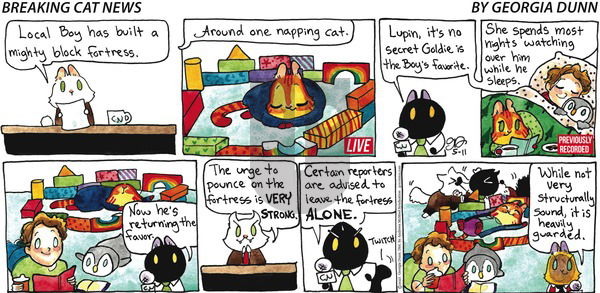 Breaking Cat News on Sunday May 11, 2025 Comic Strip