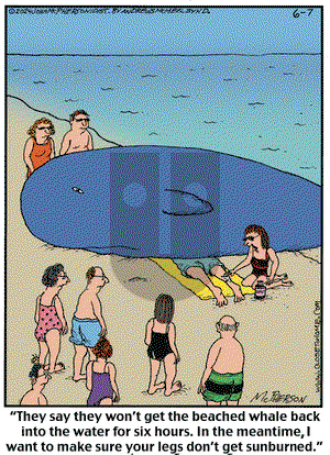 Close to Home on Friday June 7, 2024 Comic Strip