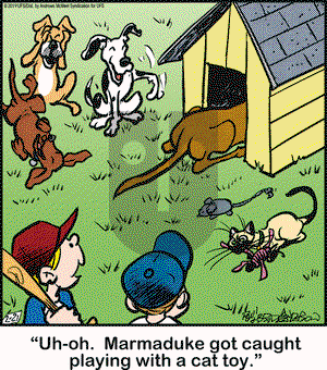 Marmaduke on Thursday February 21, 2019 Comic Strip