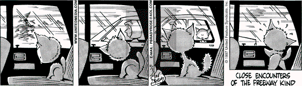 Rose is Rose on Wednesday February 4, 1998 Comic Strip