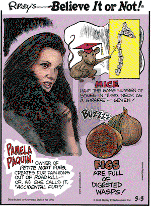 Ripley's Believe It or Not on Thursday March 3, 2016 Comic Strip