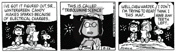 Peanuts on Friday August 26, 1988 Comic Strip
