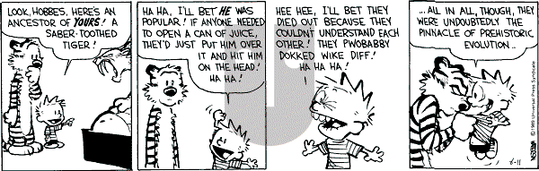 Calvin and Hobbes - Friday August 11, 1989 Comic Strip