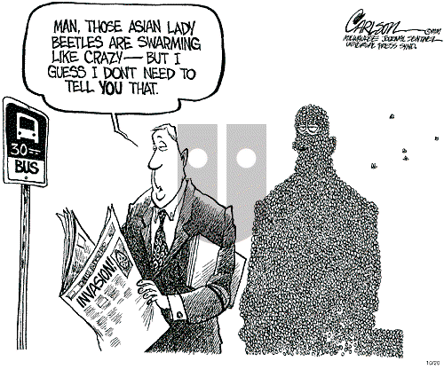 Stuart Carlson on Friday October 20, 2000 Comic Strip