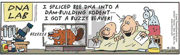 Frank and Ernest on Friday April 20, 2007 Comic Strip