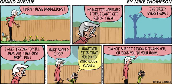 Grand Avenue on Sunday June 3, 2018 Comic Strip