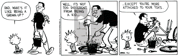 Calvin and Hobbes on Saturday September 11, 1993 Comic Strip