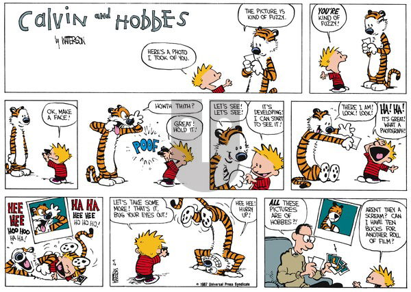 Calvin and Hobbes on Sunday March 15, 1987 Comic Strip