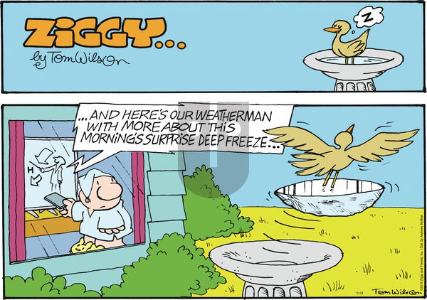 Ziggy on Sunday November 3, 2019 Comic Strip