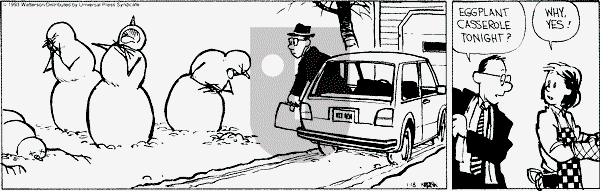 Calvin and Hobbes - Monday January 18, 1993 Comic Strip