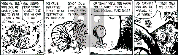Calvin and Hobbes - Saturday April 27, 1991 Comic Strip