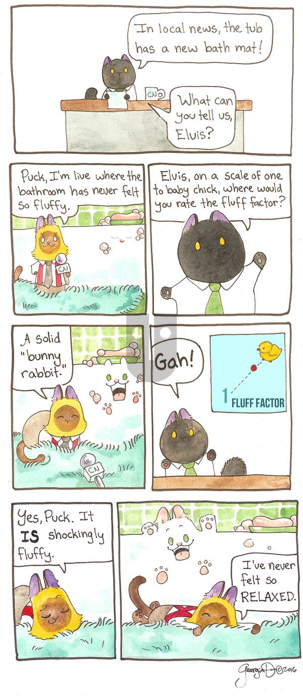 Breaking Cat News on Sunday May 29, 2016 Comic Strip