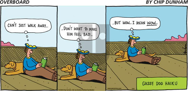 Overboard on Sunday October 4, 2020 Comic Strip