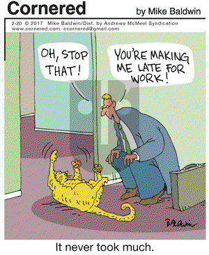 Cornered on Monday February 20, 2017 Comic Strip