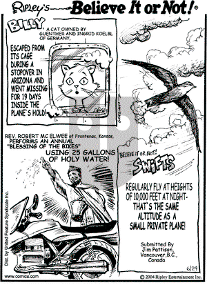 Ripley's Believe It or Not - Thursday June 24, 2004 Comic Strip