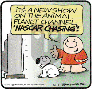 Ziggy on Saturday December 18, 2010 Comic Strip