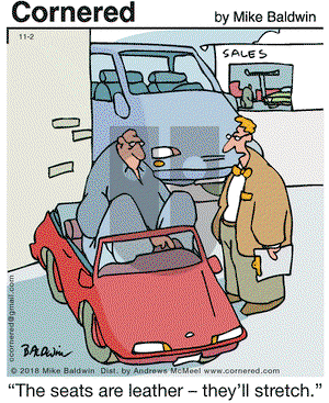 Cornered on Friday November 2, 2018 Comic Strip