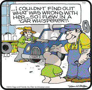 Ziggy on Thursday July 21, 2016 Comic Strip