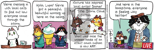 Breaking Cat News on Wednesday August 14, 2019 Comic Strip