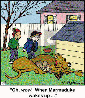 Marmaduke on Saturday January 3, 2015 Comic Strip