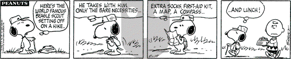 Peanuts - Wednesday May 15, 1974 Comic Strip