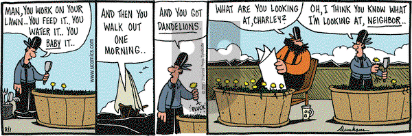 Overboard on Monday August 1, 2005 Comic Strip