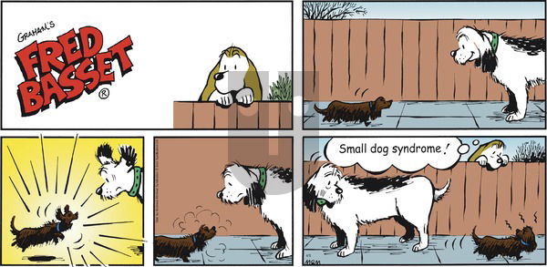 Fred Basset on Sunday April 5, 2020 Comic Strip