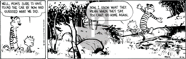 Calvin and Hobbes - Tuesday June 6, 1989 Comic Strip